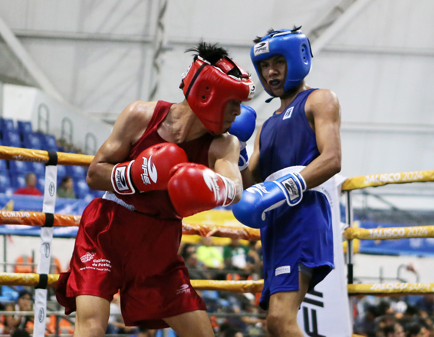 Fight